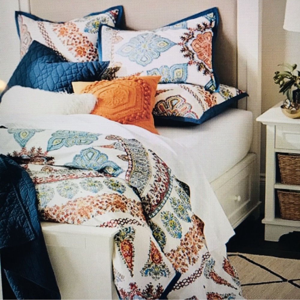 Pottery Barn Aurora King Duvet Set with 2 Euro Shams - Picture 2 of 5